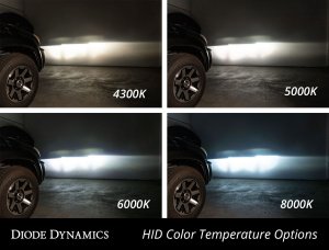 Diode Dynamics Genesis Coupe OEM HID Replacement Bulb 2010 – 2016