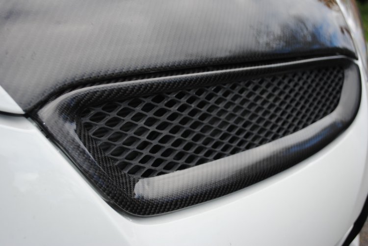 (image for) Sarona Genesis Coupe Carbon Fiber Grill 2010 - 2012